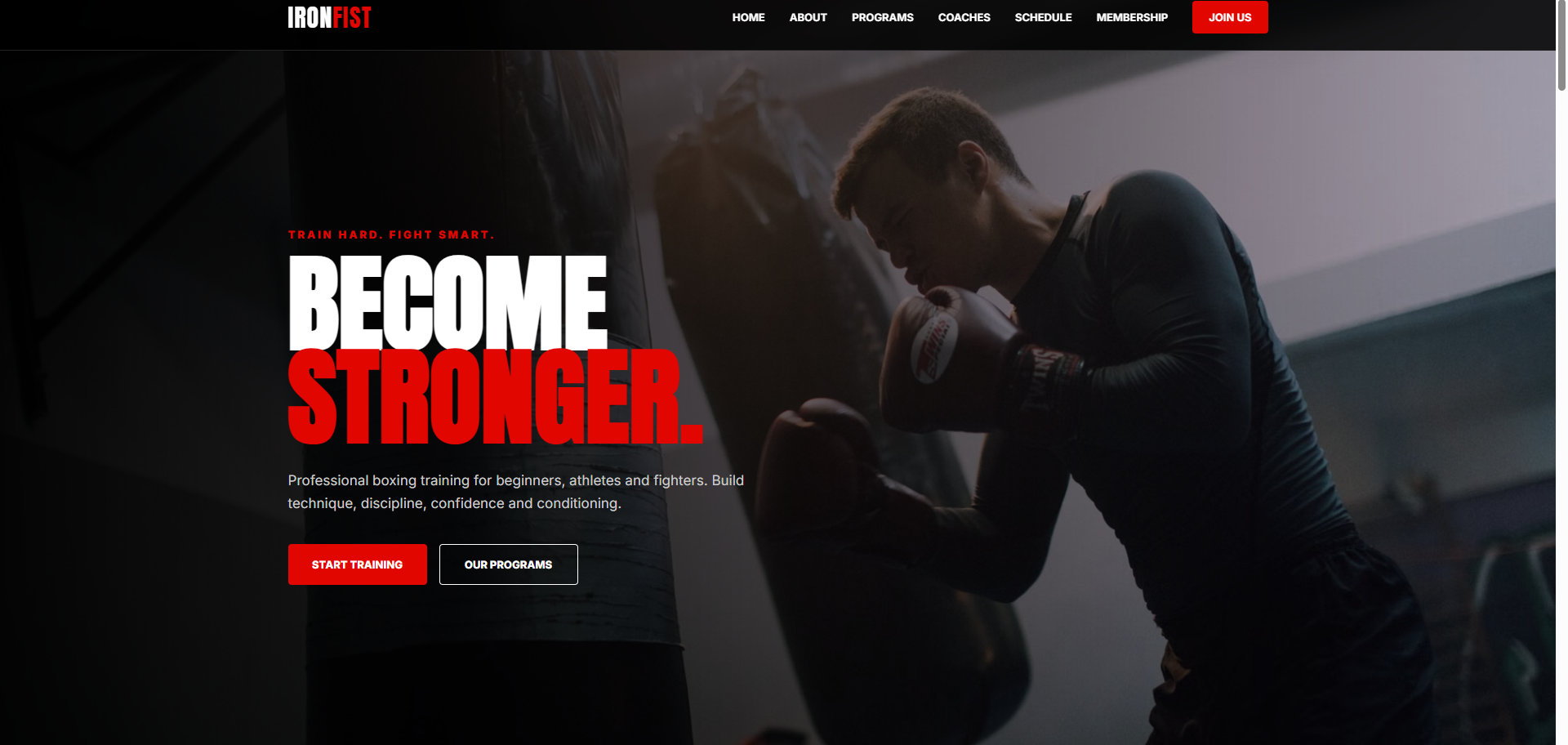 Business website project